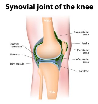 Knee Arthrocentesis by OrangeCountySurgeons